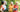 Build new interpersonal connections. Two happy couples in their 40s or 50s talking in the park.